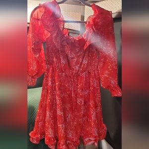 Southern Fried Chics